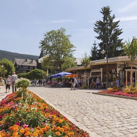 Waldoase Titisee Екстер'єр фото
