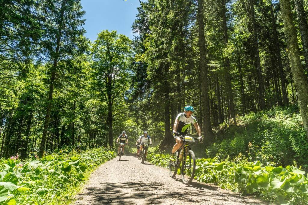 Waldoase Titisee Екстер'єр фото