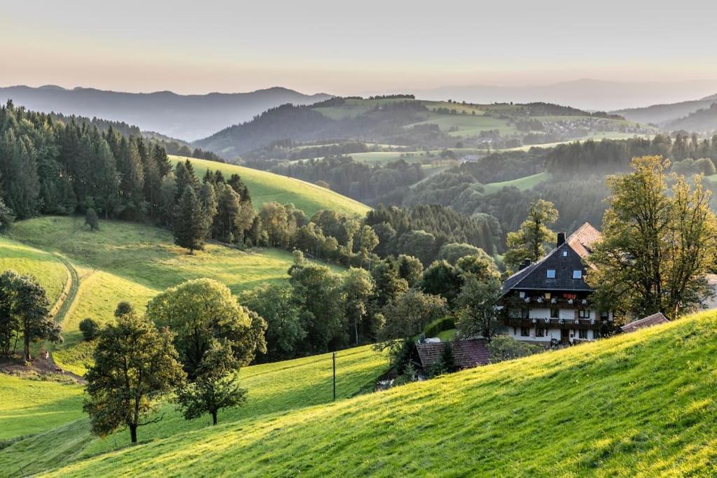 Waldoase Titisee Екстер'єр фото