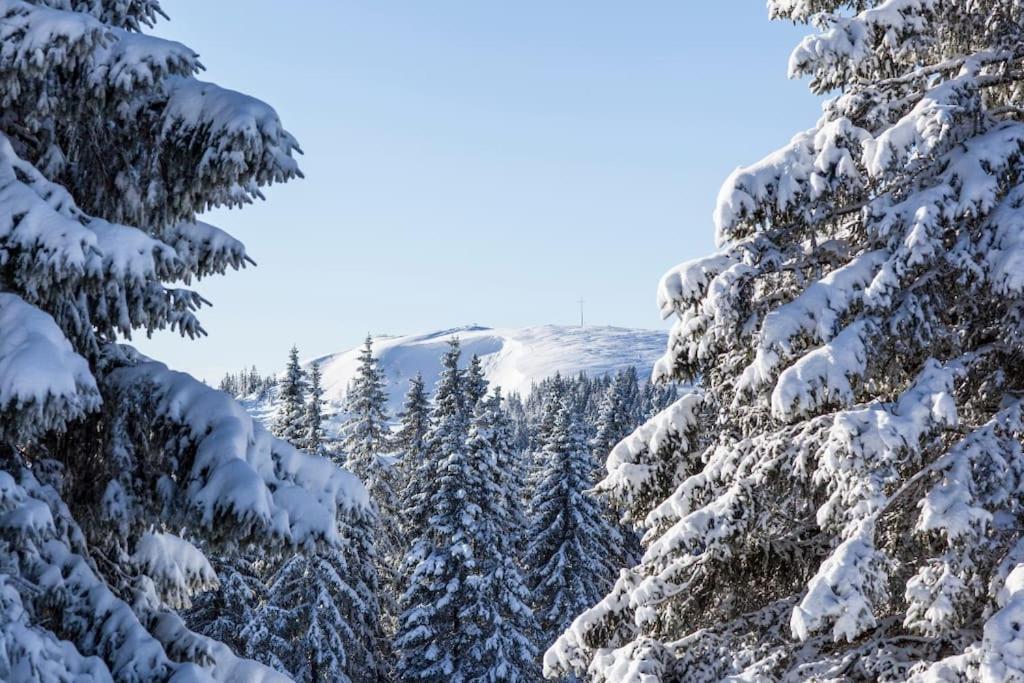 Waldoase Titisee Екстер'єр фото